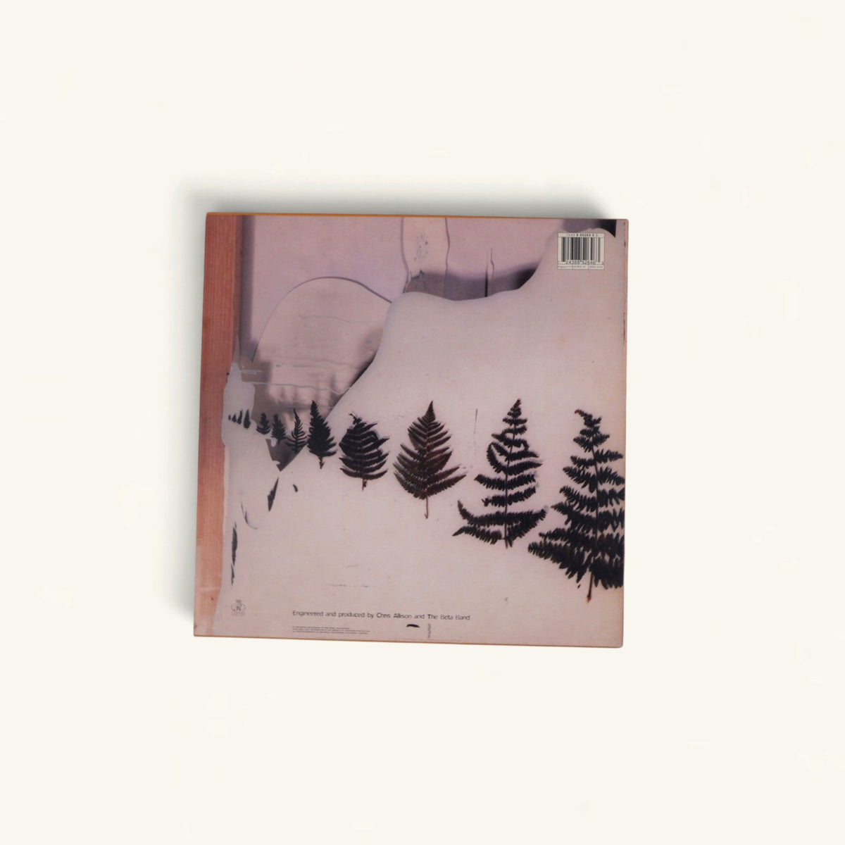 The Beta Band - ‘The Patty Patty Sound’ 12-Inch + CD