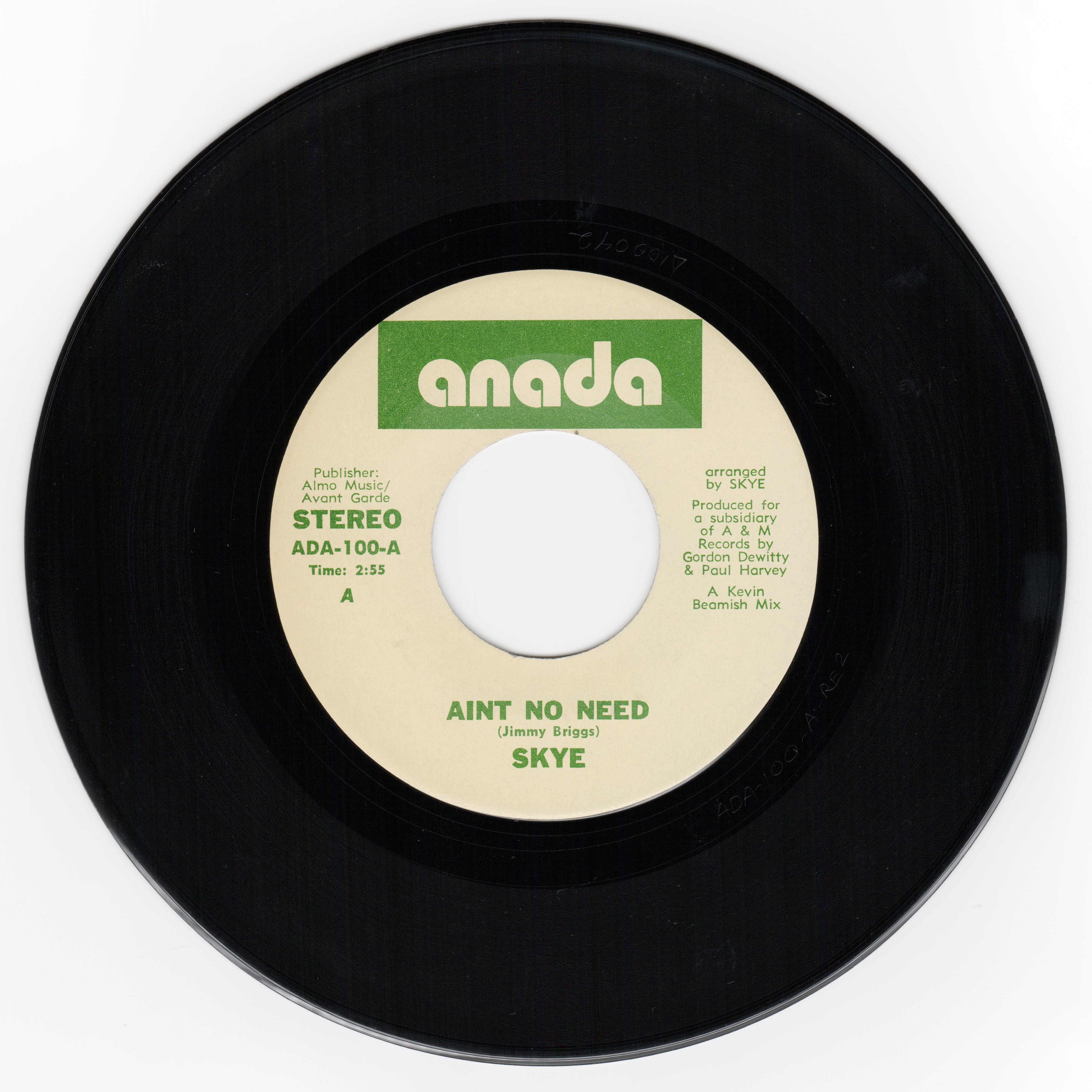 Ain't No Need - Skye – Wax Poetics