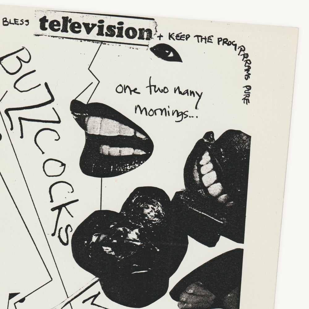 Buzzcocks & Magazine – Original Concert Poster, Artwork by Linder Ster ...