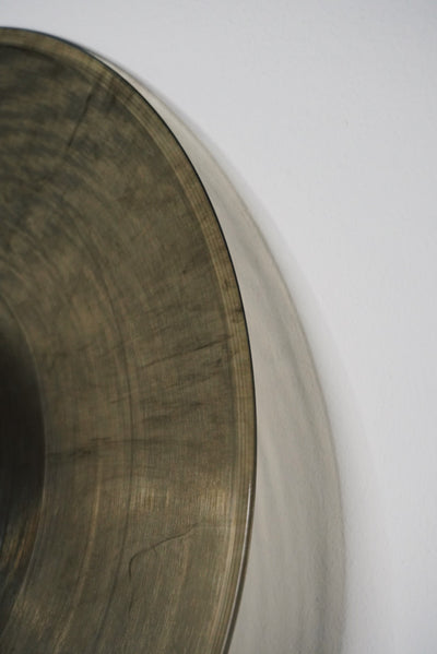 Gerald Mitchell - The Metamorphosis of Twookie Wonder Brown