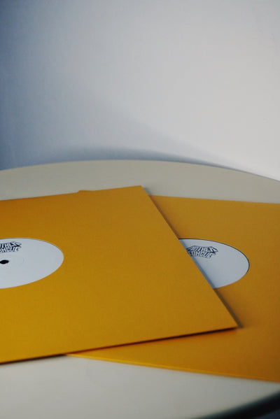 Patrick Gibin "Strength in Numbers" 2LP