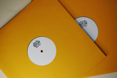 Patrick Gibin "Strength in Numbers" 2LP