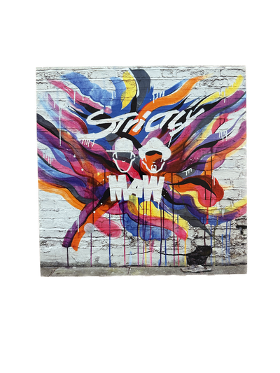 Louie Vega Studio Wall Print #28 (signed)