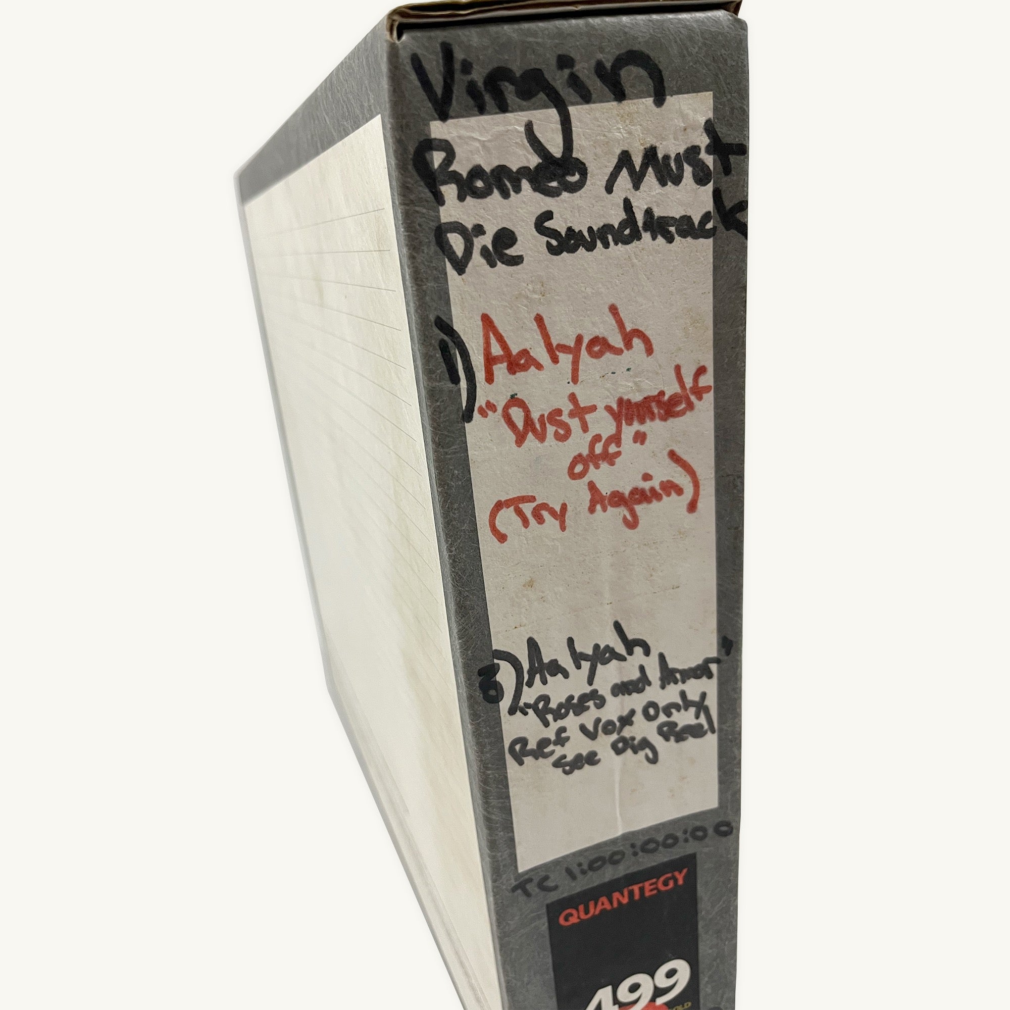 Aaliyah “Dust Yourself Off” and “Roses and Armour” Studio Reel