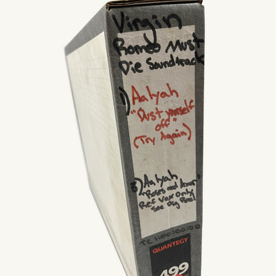 Aaliyah “Dust Yourself Off” and “Roses and Armour” Studio Reel