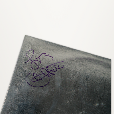 Cher – Stars Signed Test Pressing